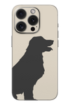 Skin iPhone - SALT & PEPPER
