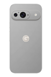 Skin Google Pixel - Silver